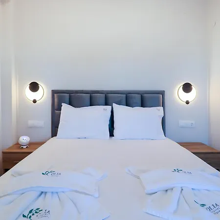 Olia With Private Pool ヴィラ