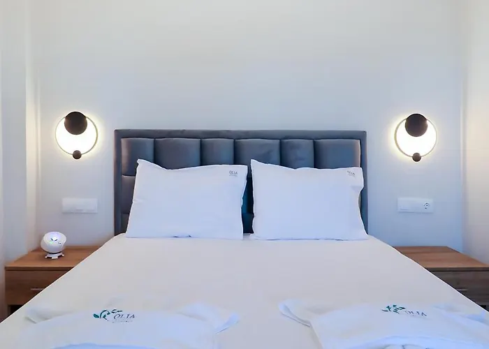 Olia With Private Pool Vila