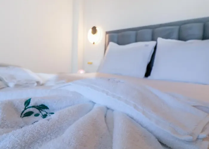 Olia With Private Pool Vila